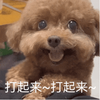 谷歌“狙击”OpenAI,发布新一代大模型!主打Agent+多模态