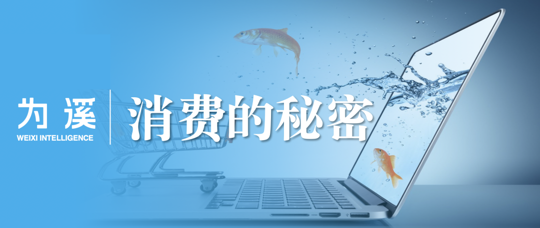 陈龙｜DeepSeek的中国式创新：新的AI经济学