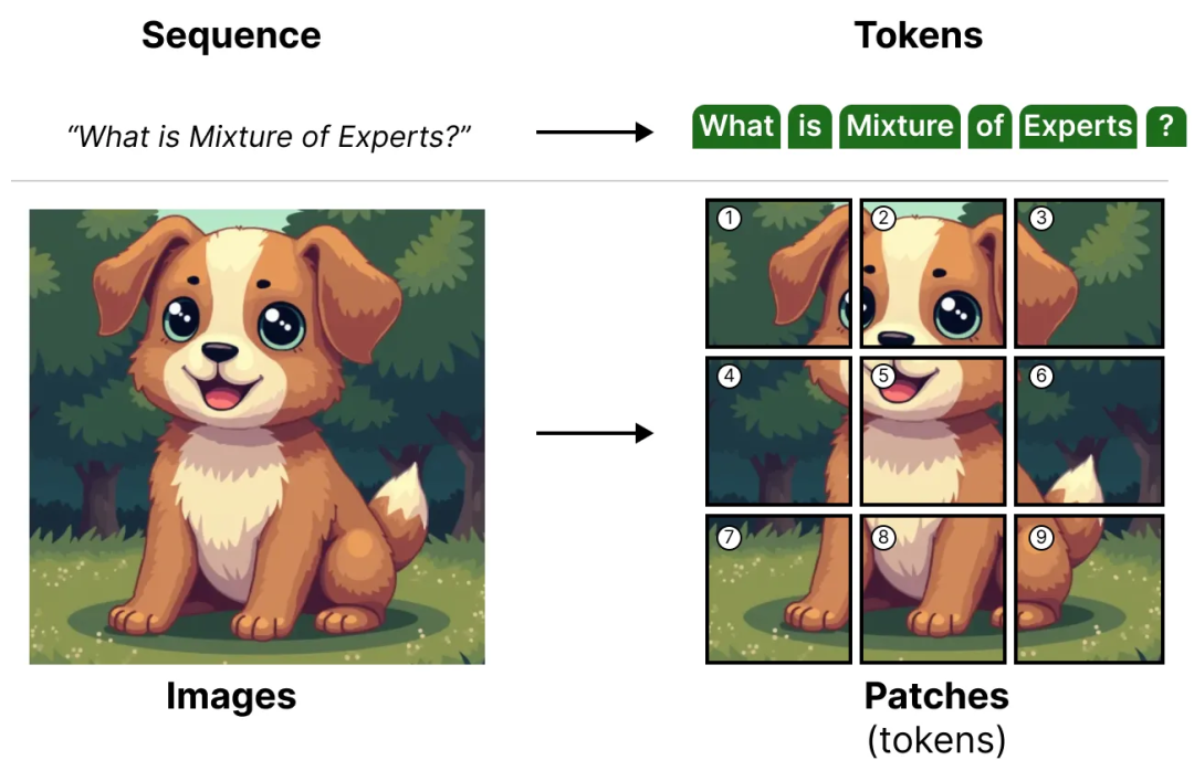 面试了33个硕士，真懂MoE的没几个