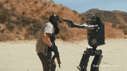 当 AI 活成了你的样子,而你活成了狗