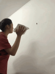 当 AI 活成了你的样子,而你活成了狗