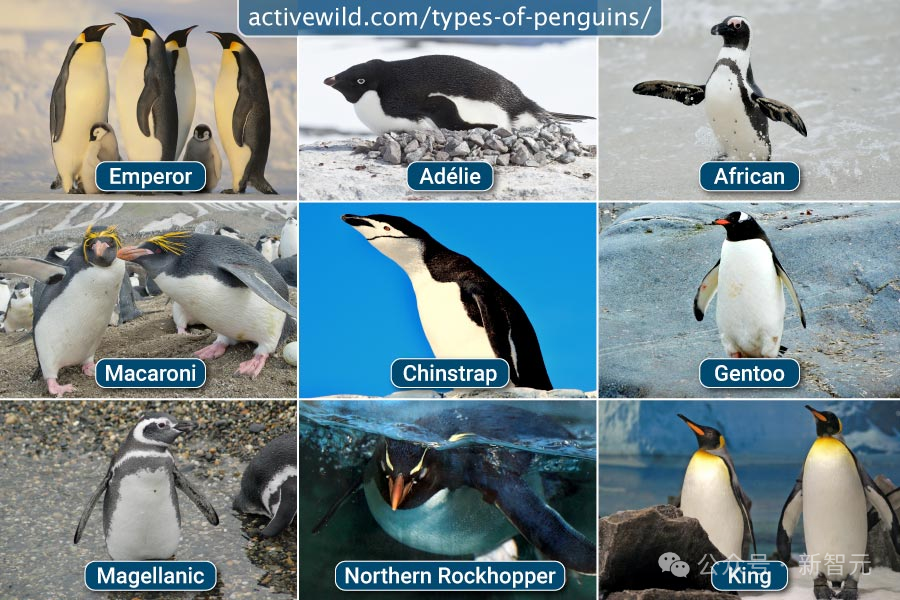 Llama3-8B秒杀700亿巨兽？北大博士生等全新「BoT」框架推理暴涨70倍，24点图形推理一步成神