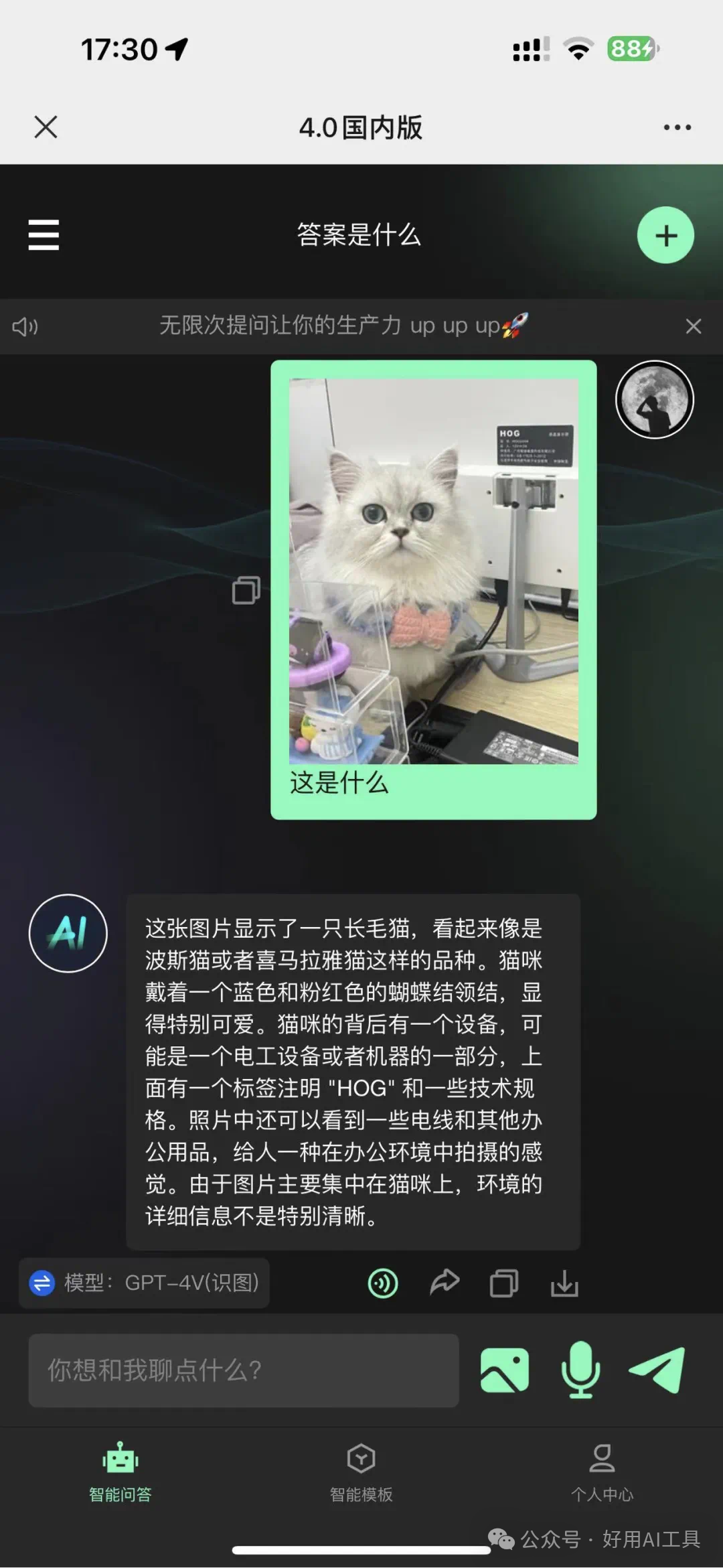 ChatGPT4o应用场景有哪些?