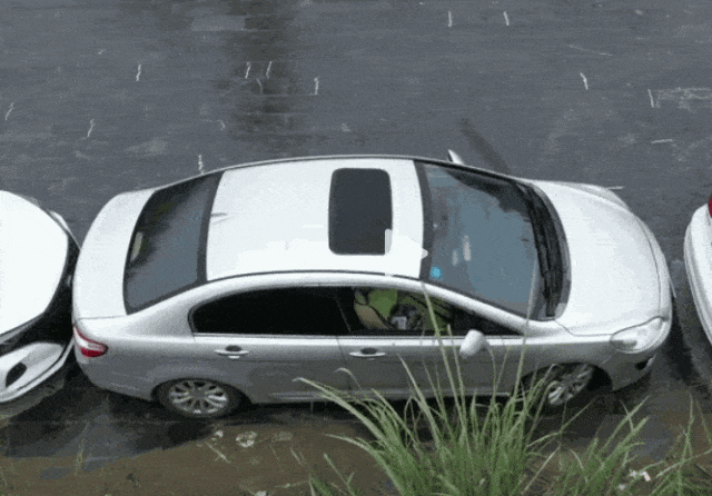 老AI开源项目案例:去除指定位置、形态的水印