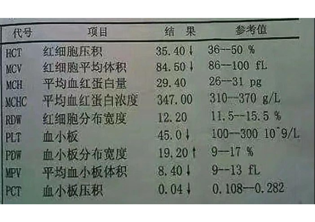 大模型读取文档后“胡诌”？试试TextIn Tools！