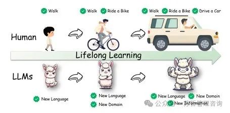 大型语言模型终身学习综述