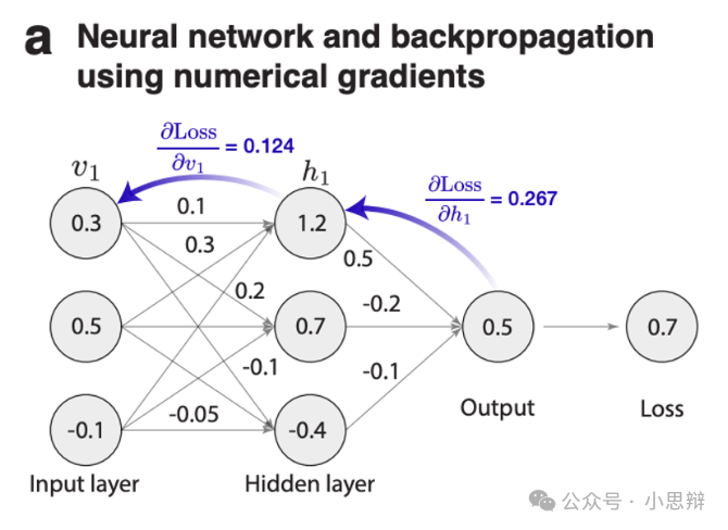进化中的AI提示优化:从猴子打字到微分优化