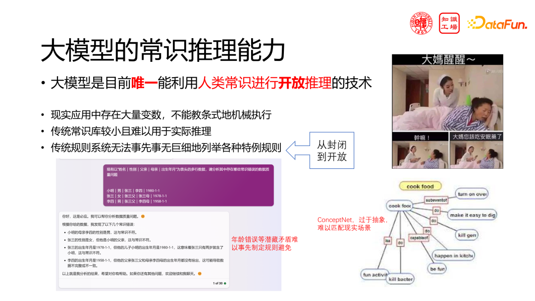 技术分享:领域大模型的挑战与机遇
