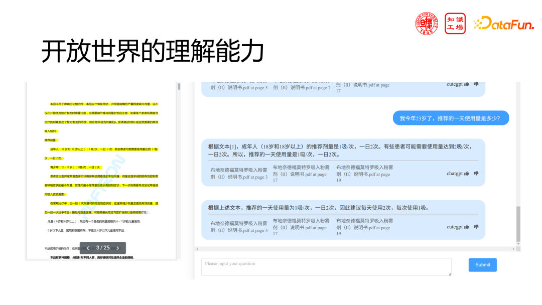 技术分享:领域大模型的挑战与机遇