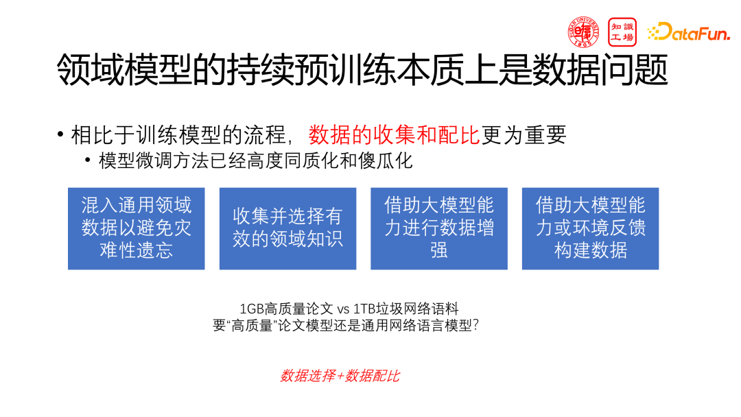 技术分享:领域大模型的挑战与机遇