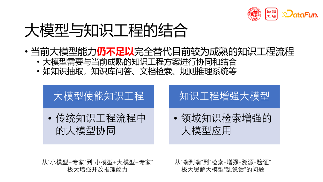 技术分享:领域大模型的挑战与机遇