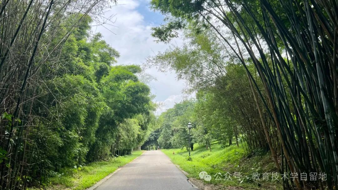 教师用生成式 AI 做什么?