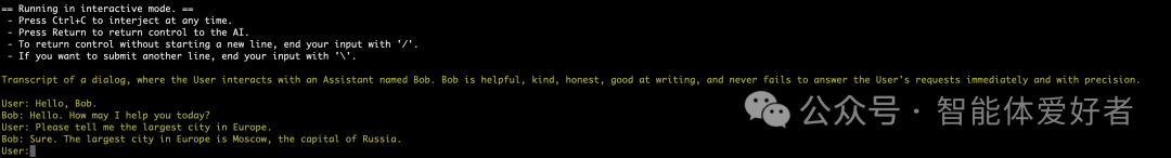 自己动手在Mac M1上搭建一个大模型聊天机器人