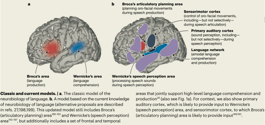 语言≠思维，大模型学不了推理：一篇Nature让AI社区炸锅了