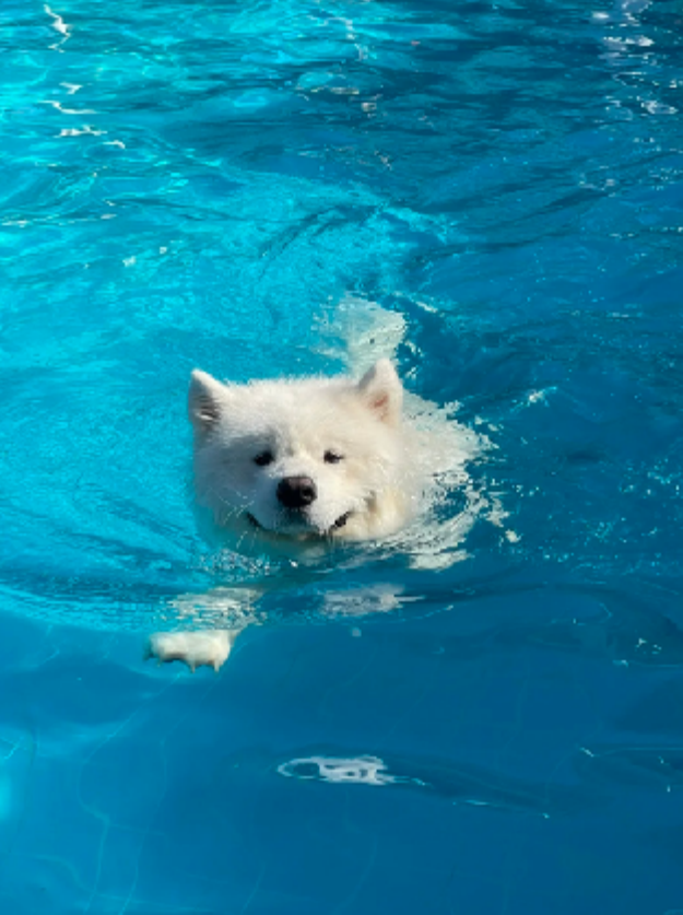 70万人争先体验!视频生成新王者「可灵AI」又双叒升级了