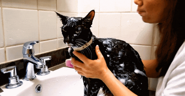 70万人争先体验!视频生成新王者「可灵AI」又双叒升级了