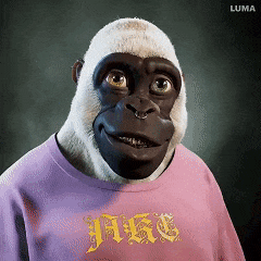 kimi 用心做产品的国内最强AI选手