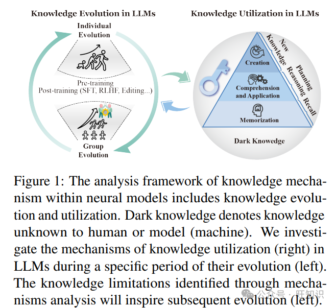 大型语言模型知识机制深度解析：知识记忆、理解、应用、创造