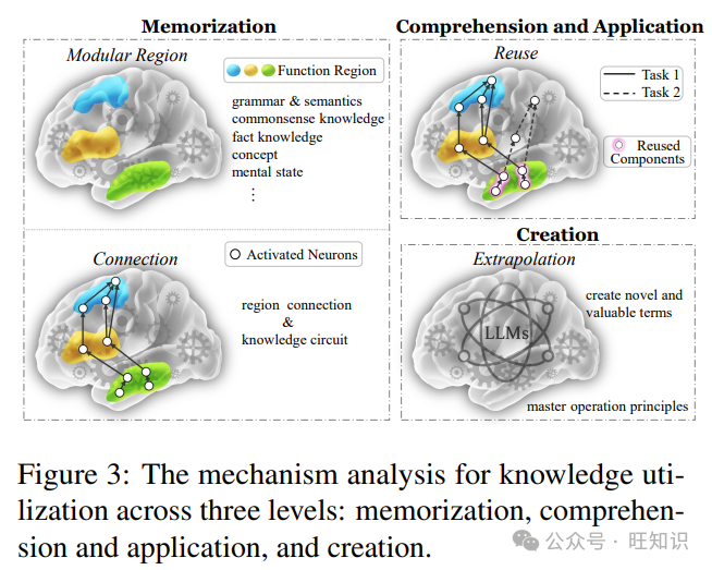 大型语言模型知识机制深度解析：知识记忆、理解、应用、创造