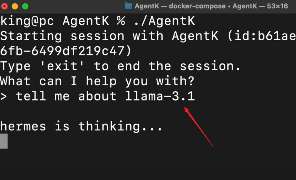 Agent-K：这个自我进化的 AI 代理可以做任何事情！（生成应用程序、代码、RAG 等）