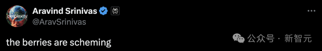 OpenAI「草莓」提前曝光？ChatGPT版搜索引擎惊现神秘模型