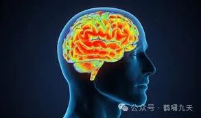 Agent技术解读:Memory记忆模块