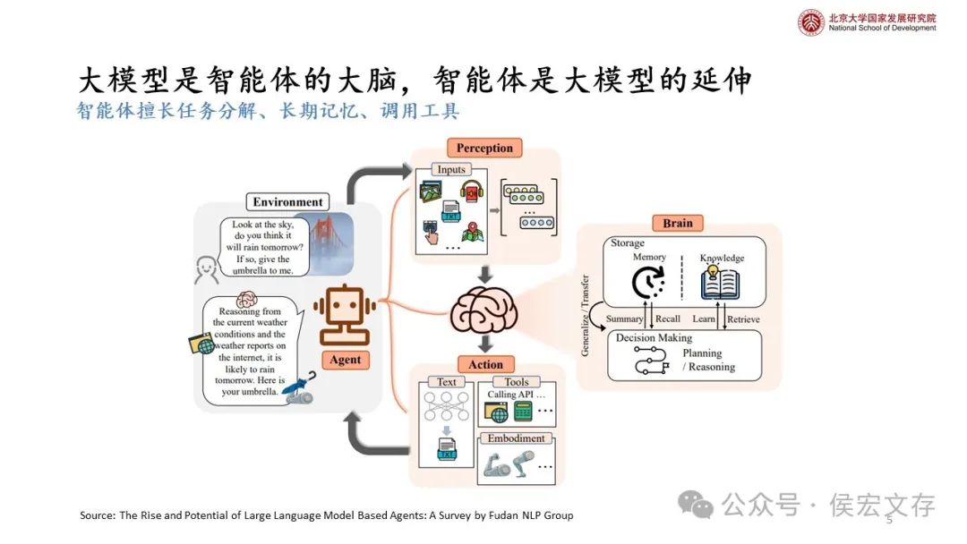 通向大模型、智能体以及人类的共同未来