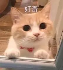 原来AI搜索,百度这么搞