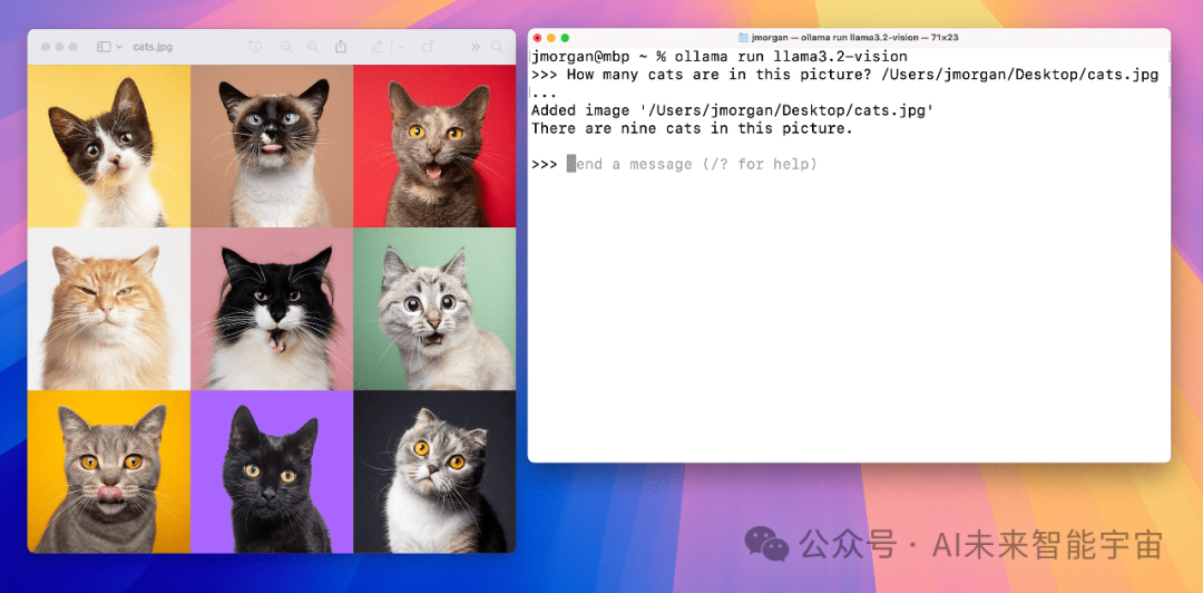 硬核升级！在Ollama中使用Llama3.2视觉模型