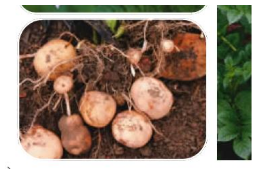 打破文本边界：如何进行多模态RAG评估