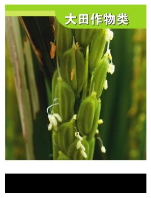 打破文本边界：如何进行多模态RAG评估