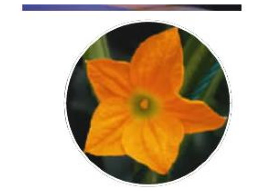 打破文本边界：如何进行多模态RAG评估