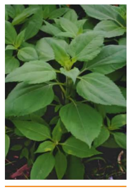 打破文本边界：如何进行多模态RAG评估