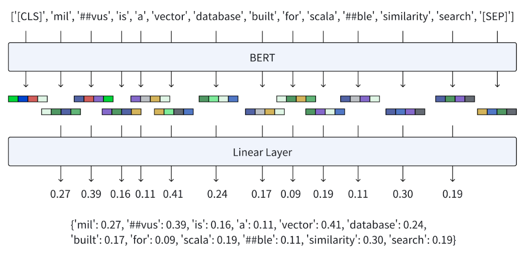 详解 BGE-M3 与 Splade 模型