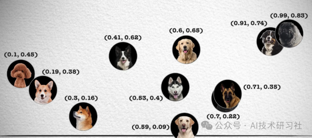 揭开RAG的秘密：向量数据库如何引领智能检索革命