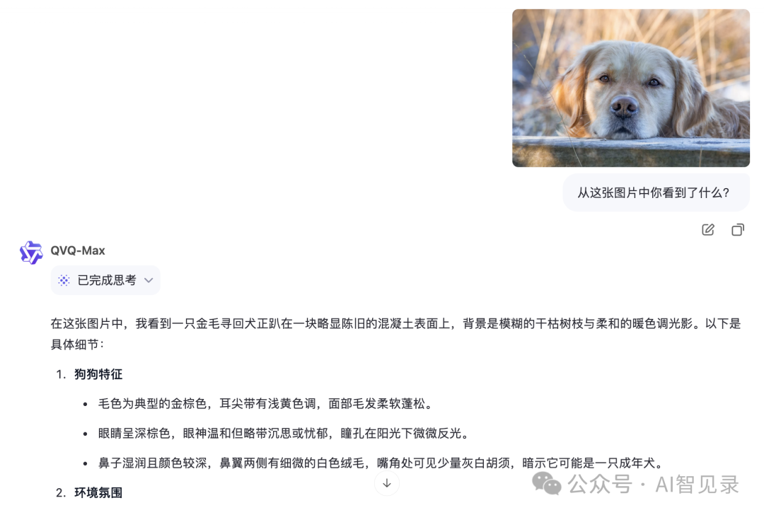 阿里千问发布了能看首相算命的 AI 模型