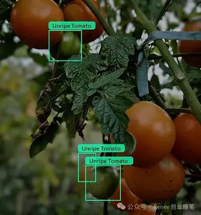 吴恩达最新发布Agent目标检测：Agentic Object Detection