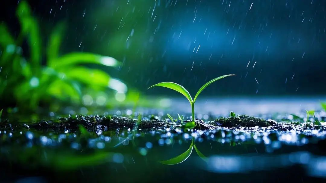 微信接入DeepSeek，你准备好了吗？