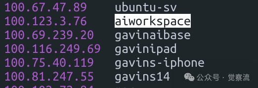 MGX = new MetaGPT_X开启 AI 软件开发新纪元;  万字长文深度解析