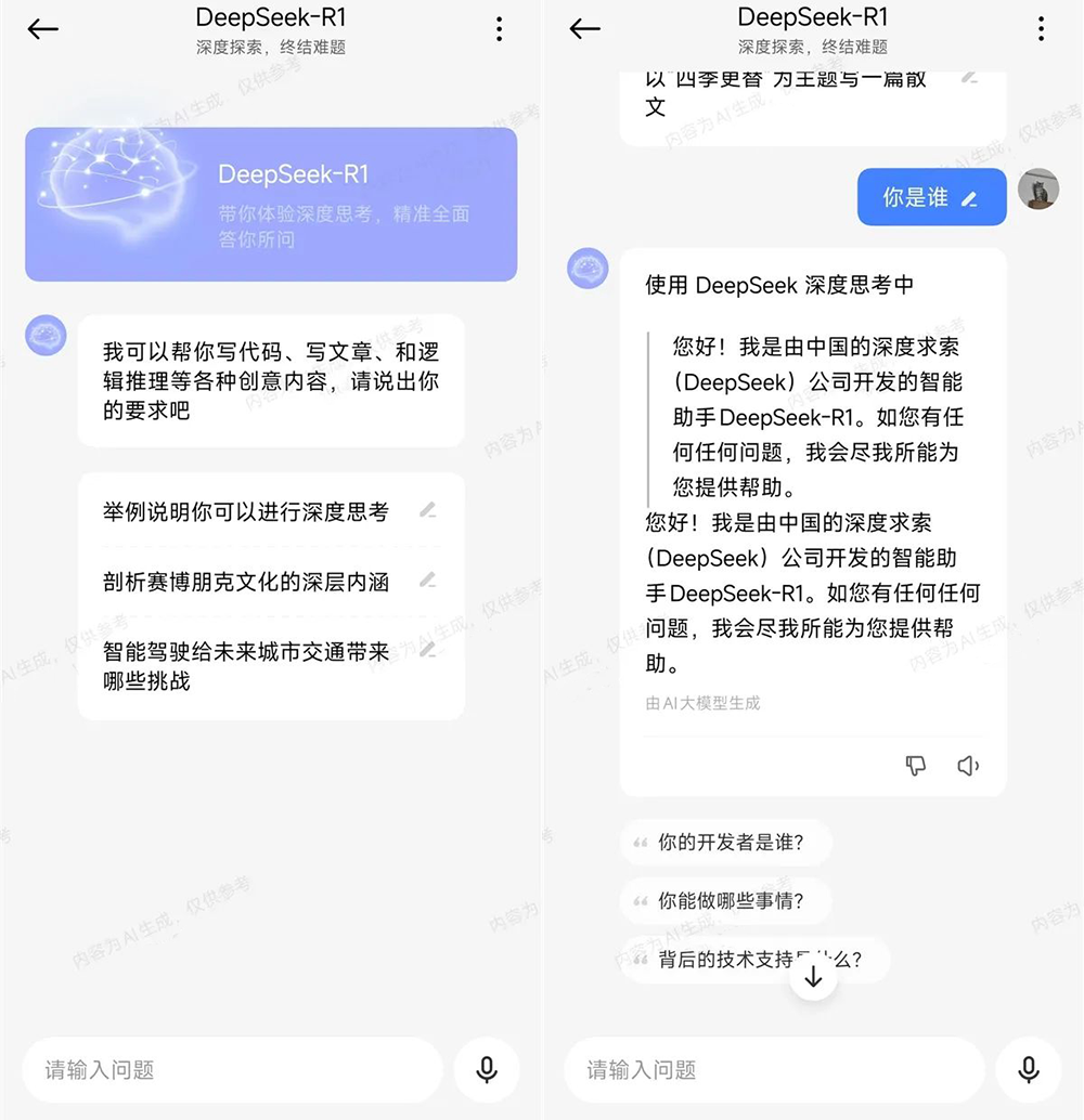 DeepSeek爆火28天，国内大模型同行都在干什么？