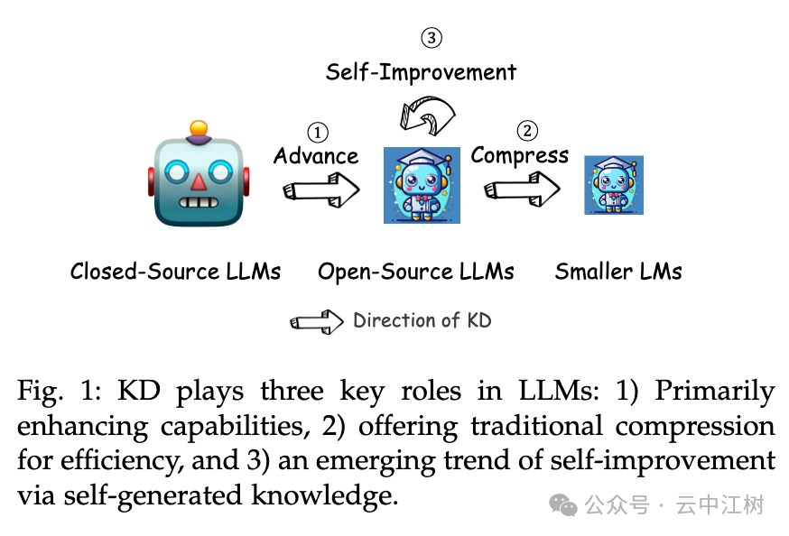大模型&蒸馏是什么？
