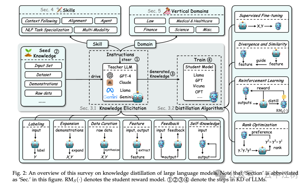 大模型&蒸馏是什么？