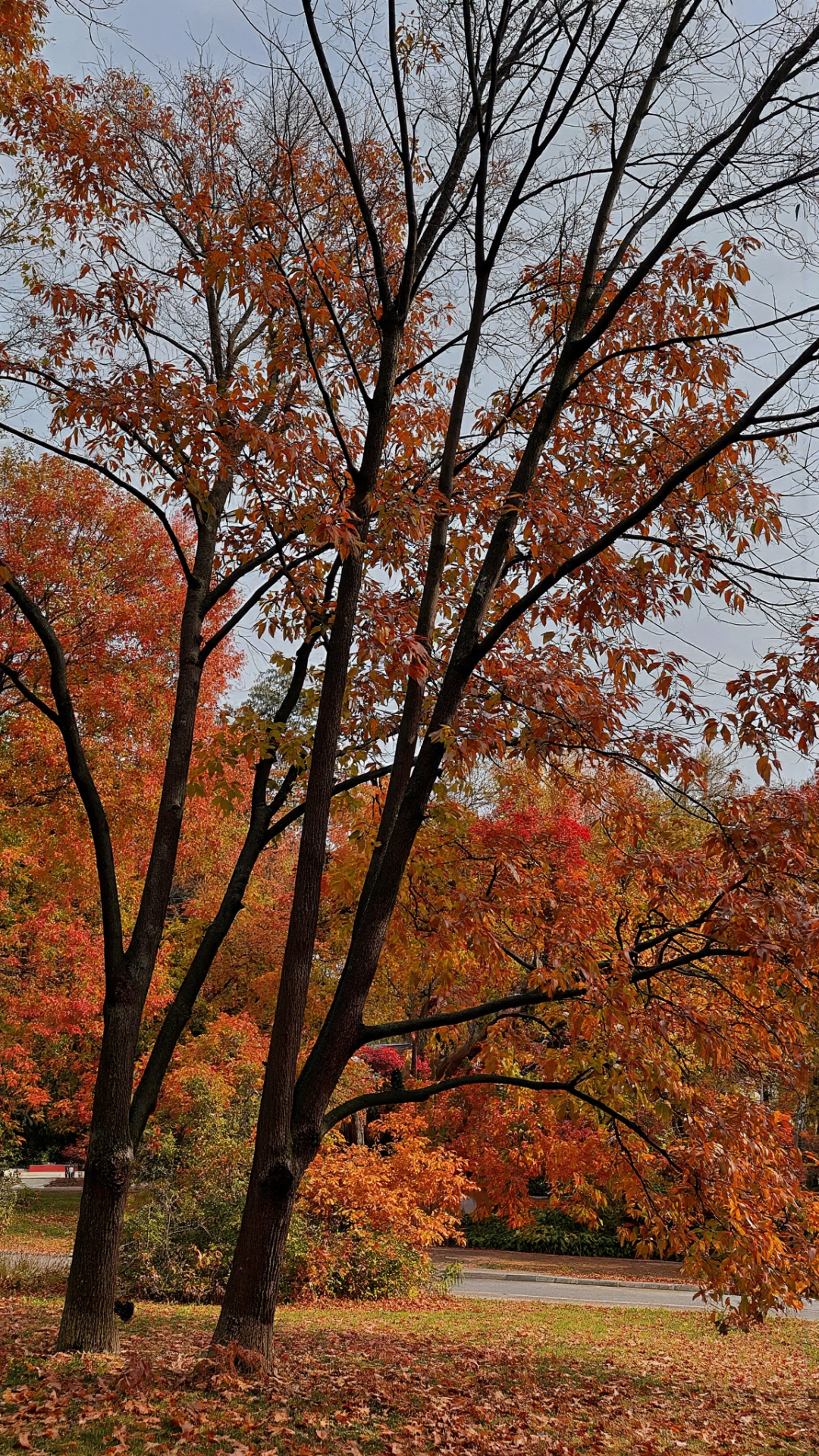 人物图片生成技术探索