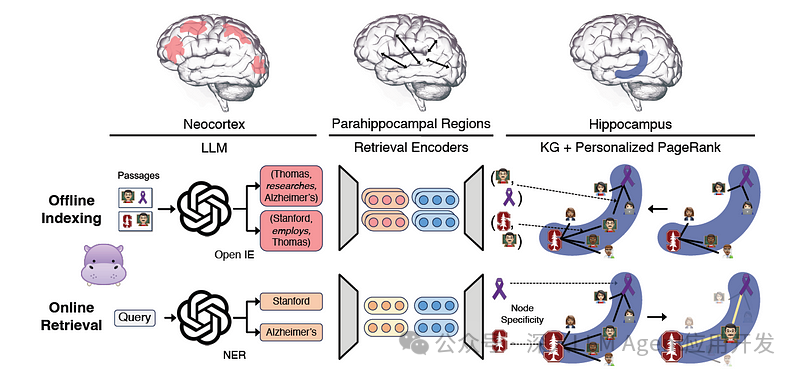 HippoRAG:模拟大脑记忆思索机制的 RAG