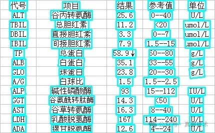 打造自己的解析大模型：模型的安装与推理