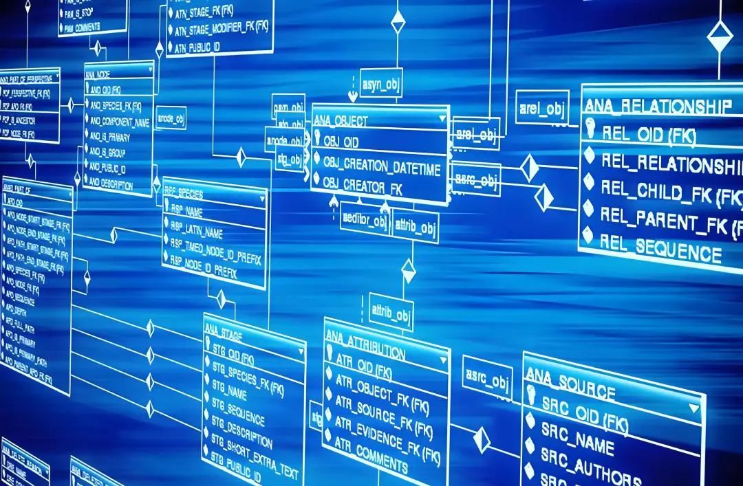 RAG能力介绍系列（一）：文本向量化