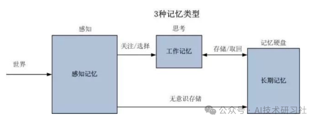 检索增强生成（RAG）：解密AI如何融合记忆与搜索