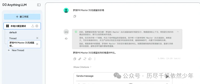 Anything LLM高级用法-deepseek本地调用神器