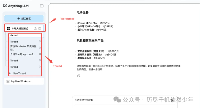 Anything LLM高级用法-deepseek本地调用神器
