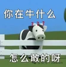 RAG 的饼，好像吃不下了。。。。